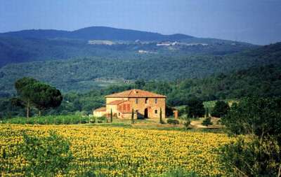 Villa Felciai Tuscany - Chianti area